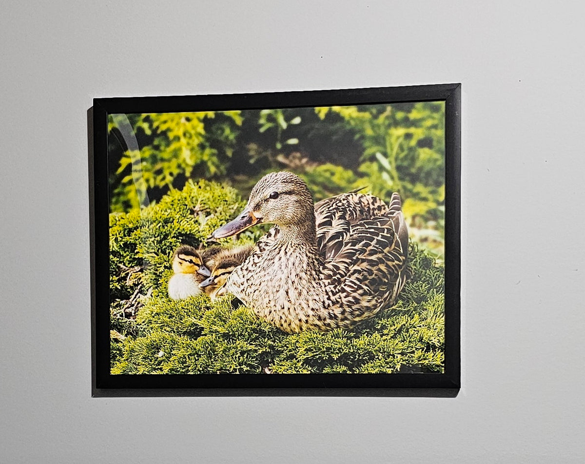 A Mother's Love