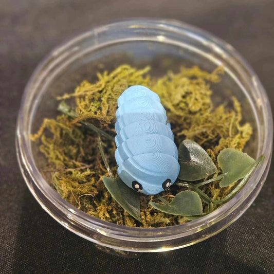 Power Blue Isopods