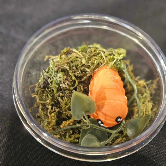Power Orange Isopods