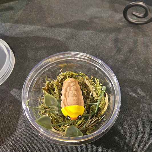 Rubber Duckie Isopods